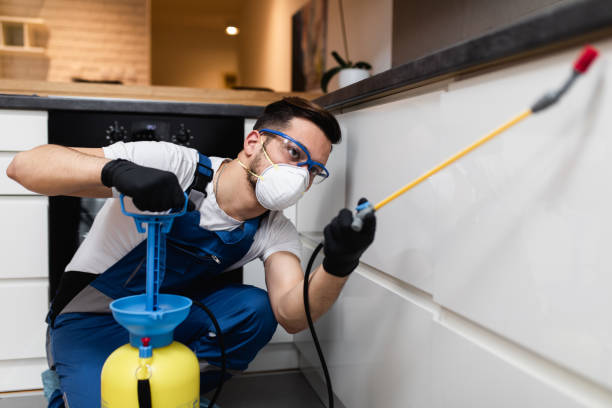 Best Mosquito Control Services  in Malta, MT